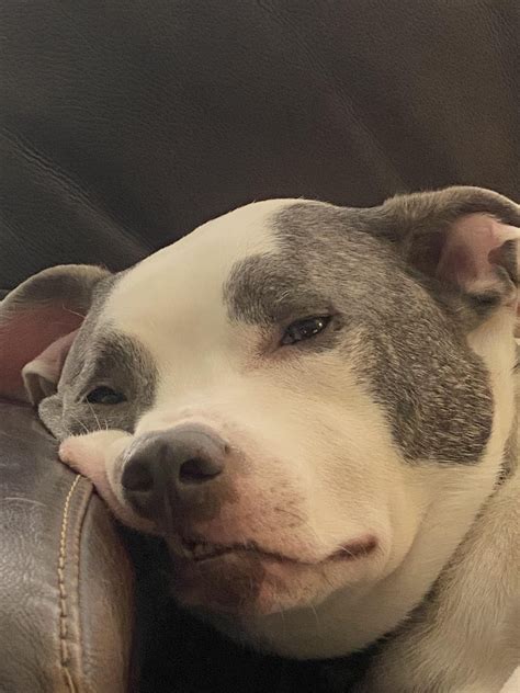 Snoring-while-awake toofers : r/toofers