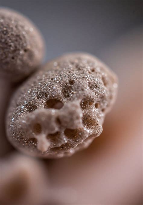 Metabolic Demands → Term