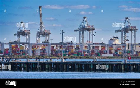 Victoria Webb Porn Videos