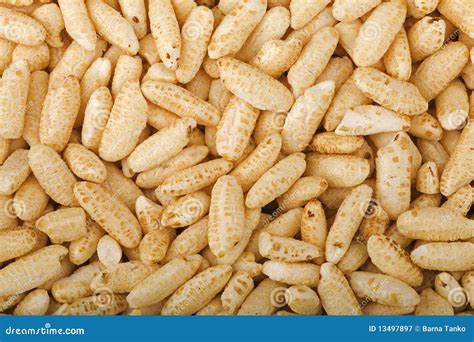 Rice puff cereal stock image. Image of nutritious, healthy - 13497897