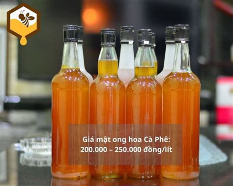AMBIL SEKARANG
