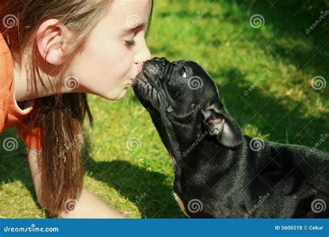 Girl kissing dog stock photo. Image of outside, people - 5600218