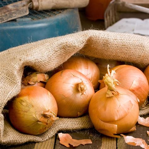 The Best Way To Store Onions So They Stay Fresh For Months