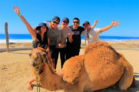 Camel Ride on the Beach - Funcabo