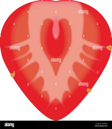 Strawberry Fruit Cut In Half Stock Vector Image & Art - Alamy