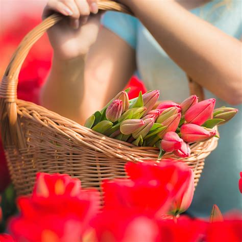 Things To Do on the North Shore MA: May 2023 - Wicked Northshore