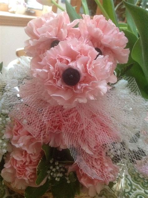 Carnation Puppy Dog Flower Arrangement at Frank Hudson blog