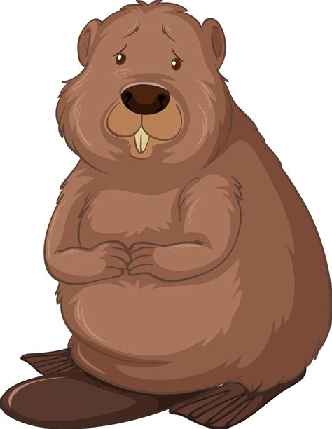 Beaver cartoon character isolated on white background 2284408 Vector ...