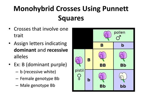 PPT - Genetics and Heredity PowerPoint Presentation, free download - ID ...