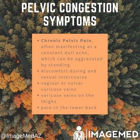 Pelvic congestion syndrome – Artofit
