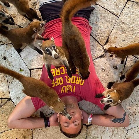 Why is Brandon McMillan leaving Lucky Dog? | The US Sun