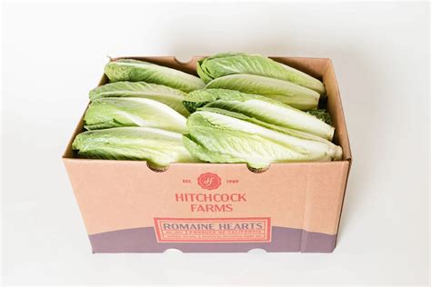 Health Benefits Of Romaine Lettuce Hearts at Jason Lyon blog