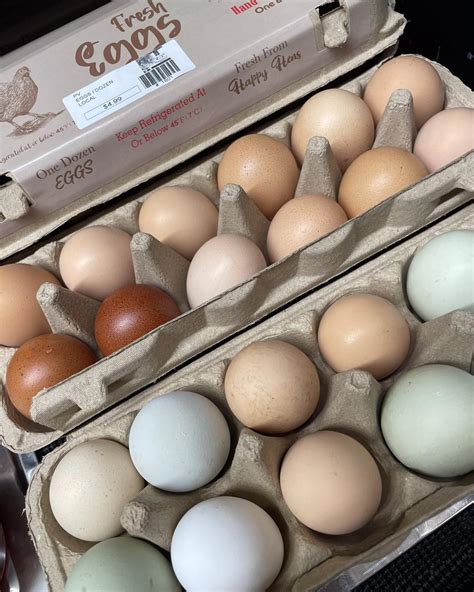 Fooks Foods (@fooksfoods) • Instagram photos and videos