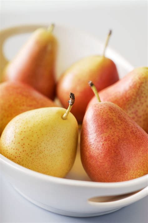 7 Different Types of Pears in Season This Fall