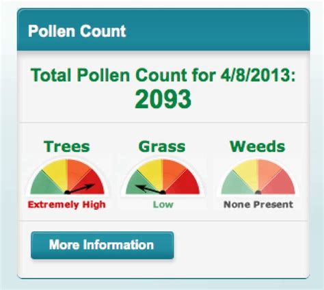 High Pollen Count in Metro Atlanta Today | Lilburn, GA Patch