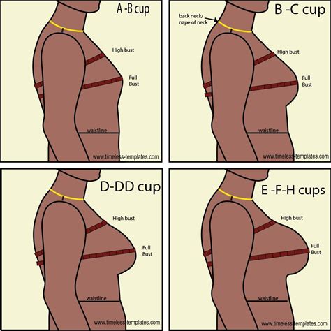 Finding dress bust cup sizes – Artofit