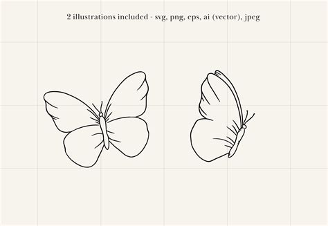 How To Draw Butterfly Photo