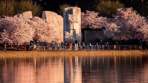 Parking Near Tidal Basin