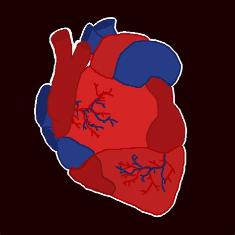 Puppy Heart Beating Really Fast While Sleeping at Dexter Alba blog