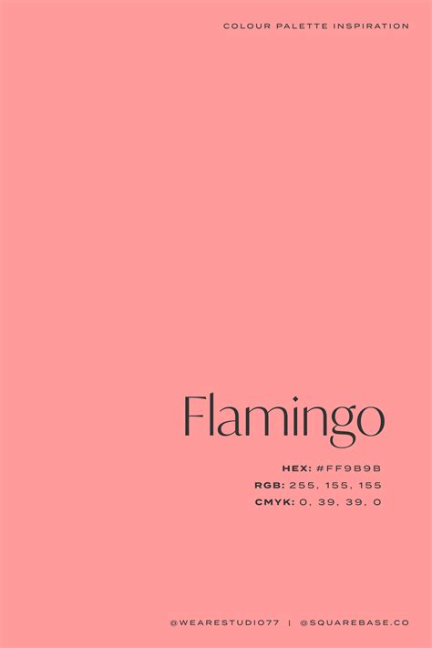 Flamingo Bright Pink Colour Palette Inspiration For Your Next Design ...