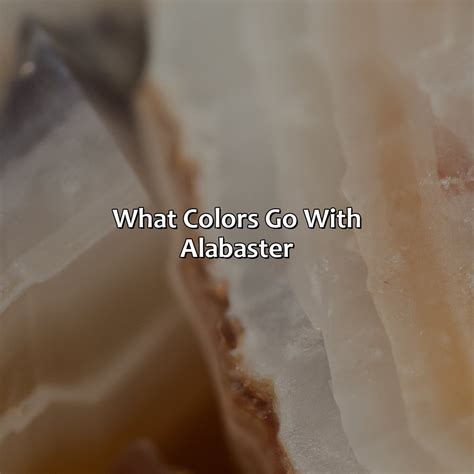 What Colors Go With Brown Skin - colorscombo.com