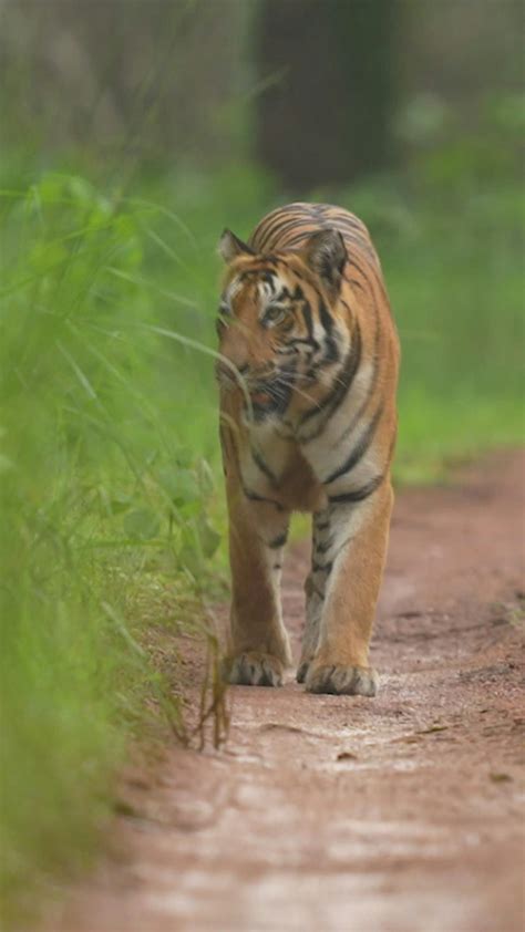 Hd+Sexy+Videos Videos, Download The BEST Free 4k Stock Video Footage ...