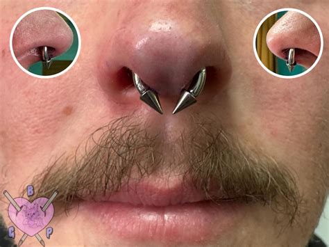 Aimée Leigh🦇 | Fresh free handed 10g septum piercing with a high polished APP certified circular ...
