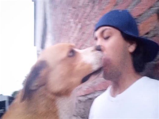 quick tongue kiss with dog