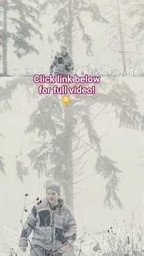 BUG OUT & SURVIVALISM 101