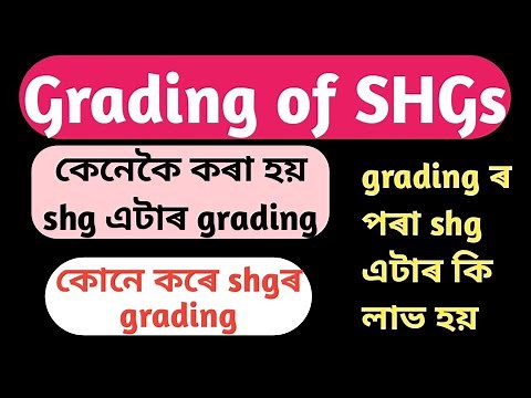 #SHG Grading/VO Grading