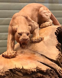 499K views · 16K reactions | Carving a stunning leopard out of wood! | MetDaan DIY | Facebook