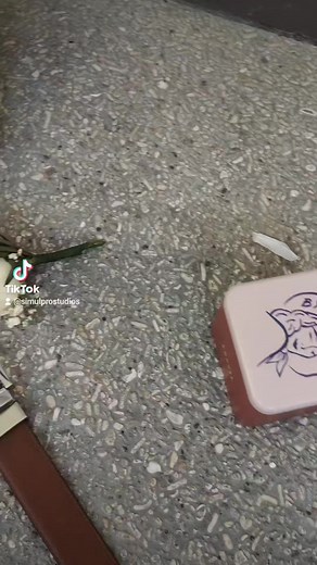 2.7K views · 38 reactions | The Wedding of Patrickejae and Myra #simulprostudios #SDEVideo #wedding #tarlacwedding #PhotoandVideo | Arthuro Toldanes Sinobago | Facebook