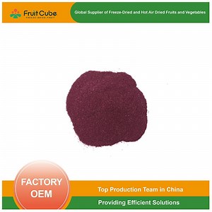 [Hot Item] Health Food Freeze Dried Blueberry Powder Natural Color