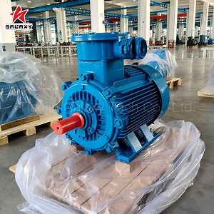 [Hot Item] Brushless Permanent Magnet Motor