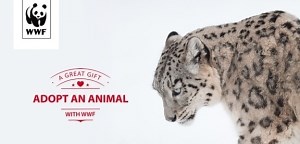 Homemade and zero waste gift ideas - Recycle Devon