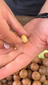 2.4K views |  Khan Dry Fruit - Premium Chabi Wala Akhrot!   Same-Day Delivery in Lahore  Free Delivery Across Pakistan  Download our app and enter code "welcome500" for Rs 500 off! Minimum order Rs 5000.  Download Here: https://bit.ly/m/khandryfruits Order Now!  www.khandryfruit.com  WhatsApp: 03049996000 #KhanDryFruit #ChabiWalaAkhrot #FreeDelivery #Lahore #Pakistan | Khan Dry Fruits | Facebook