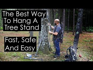 Best Way To Hang A Tree Stand Fast Safe And Easy