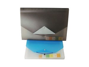 [Hot Item] Contrast-Collar Expanding File - 13 Pockets (E1506)