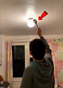 89K views · 1K reactions | Insect Invasion! | Bella Bean | Facebook