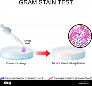 Microscope after Stock Vector Images - Alamy