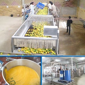 [Hot Item] Mango processing machinery mango pulping machine mango peeler machine