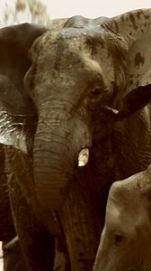 Travel with agency. | Land Rover Sandton