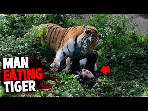 This Man-Eating Tiger Preyed on 436 People!