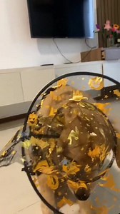 Halloween, halloween 😁😁😁 | Golden Retriever Overload