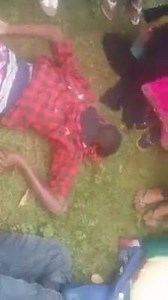 8.5K views · 32 reactions | #oromoprotest hirira guyya araa magalaa awaday | Oromia_TUBE | Facebook