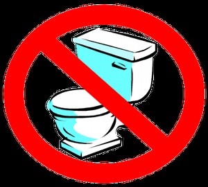 Nobody Poops - TV Tropes