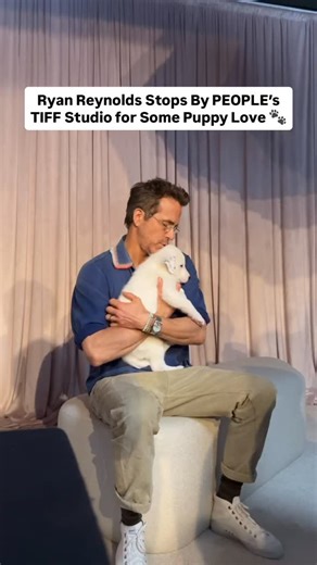 185K views · 7.3K reactions | PEOPLE’s Toronto International Film Festival studio is open! #RyanReynolds and a pup? Sign us up! ❤️ #TIFF | People | Facebook