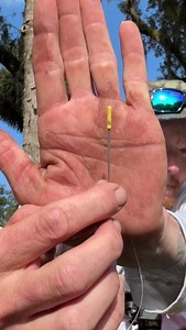 The Line Guide makes threading your line a breeze! #rapidfishingsolutions #fishingtools #fishinginnovation #efficientfishing #fishing #bassfishing #fishinghacks #FishingGear #AnglingSolutions #FishingTech #AnglerLife #FishingCommunity #fishingequipment | Rapid Fishing Solutions