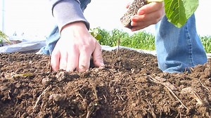 Spring gardening tips from Eden Maker by Shirley Bovshow for beginners and seasoned gardeners alike. Plus, discover how to protect your plants from a late-season frost. 🌸🌿 #SpringGardening #ExpertAdvice #GreenThumb | The National Weather Desk