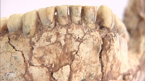 Turns out we may be older than we thought. Like, a lot older. | CNET